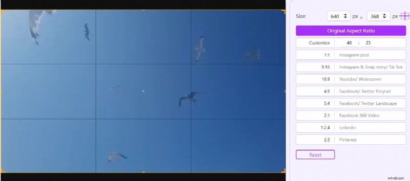 Best Online Video Croppers (No Watermark) - 2024