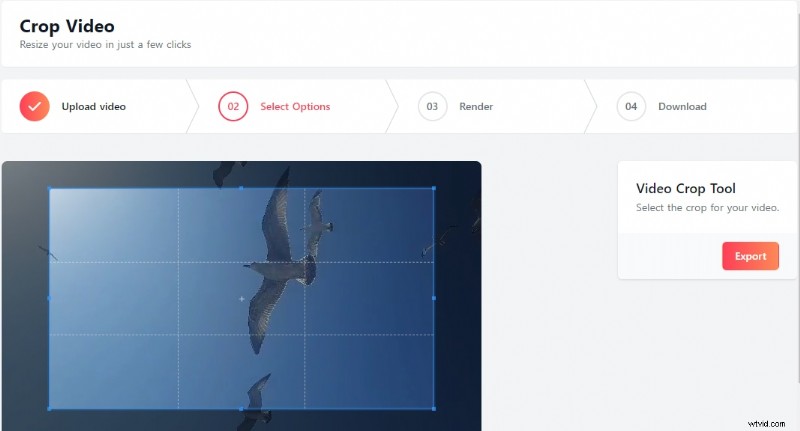 Best Online Video Croppers (No Watermark) - 2024