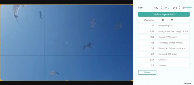 Best Online Video Croppers (No Watermark) - 2024