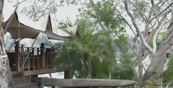 NewBlueFX Review: Enhance Your Video Editing with Powerful Plugins