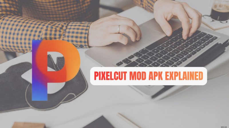 Pixelcut AI Photo Editor: Features, Pro vs. Free & Mod APK Risks