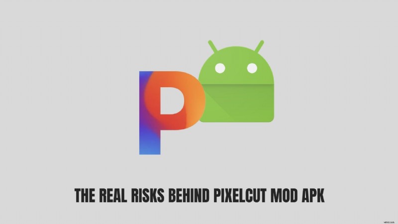 Pixelcut AI Photo Editor: Features, Pro vs. Free & Mod APK Risks