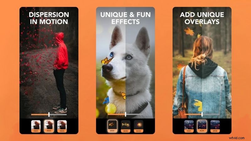 Motionleap Review: Animate Photos Easily - Is It Worth It in 2024?