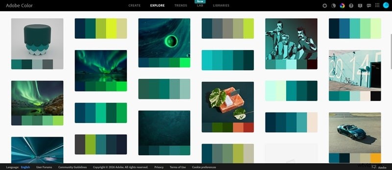 Master Color Palettes with Adobe Color: A Comprehensive Guide