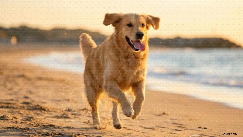 Grok vs. ChatGPT-5: AI for Creators in 2026 - Filmora Workflow