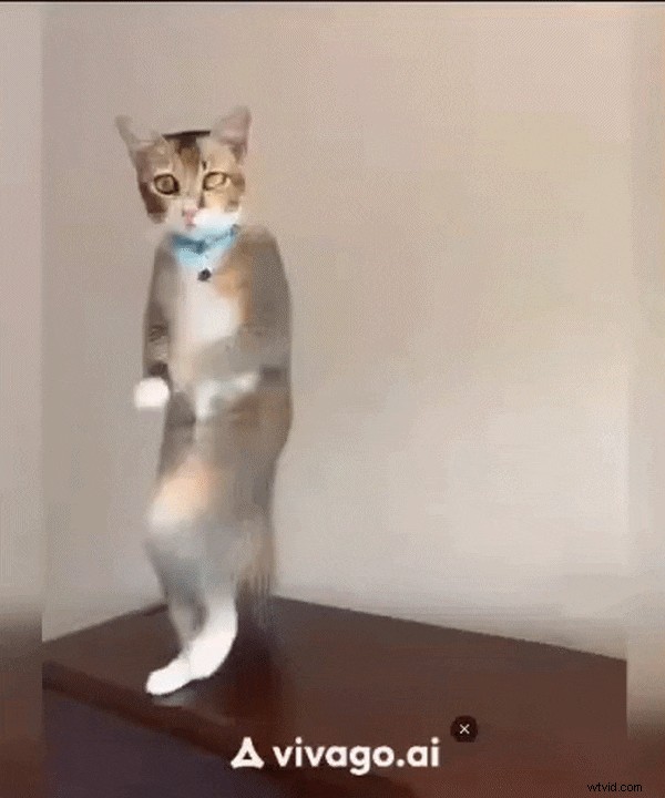 Vivago AI Review: Is It the Leading AI Video Generator for Creators?