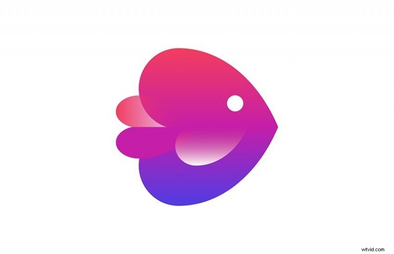 Top 10 AI Video Generators of 2026: The Best Tools for Creators