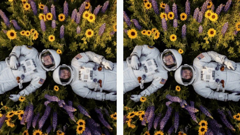 Flow AI Video Generator Review (2026): Powered by Veo 3.1