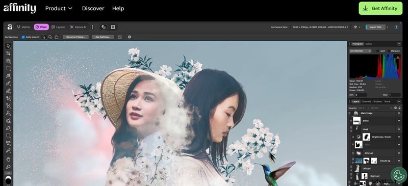Top GIMP Alternatives for 2026: Free & Paid Photo Editors