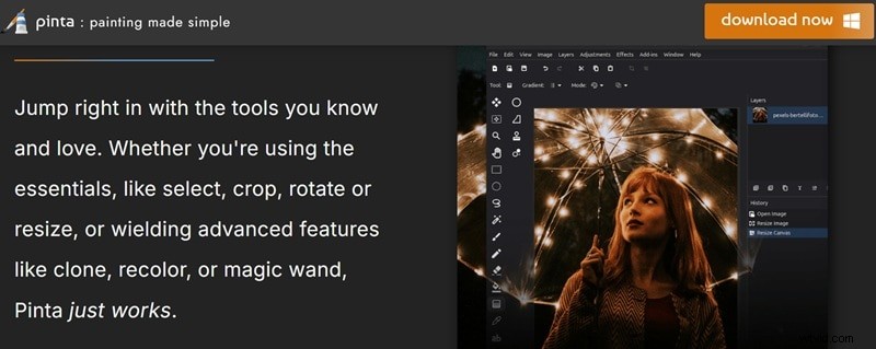 Top GIMP Alternatives for 2026: Free & Paid Photo Editors