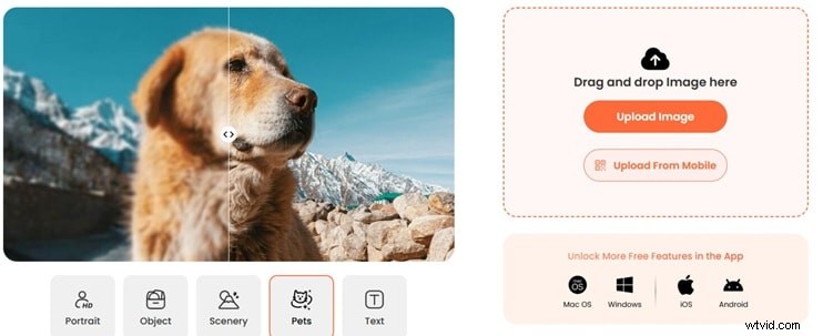 AirBrush Review 2026: AI Photo Editor – Is It Worth the Hype?