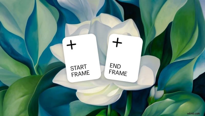 Luma AI Review 2024: Create Cinematic Videos from Text - Is It Worth It?