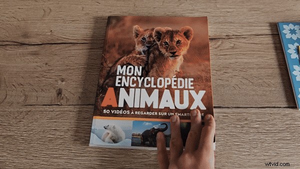 Pika AI Review: Effortless Video Creation with AI (2024)