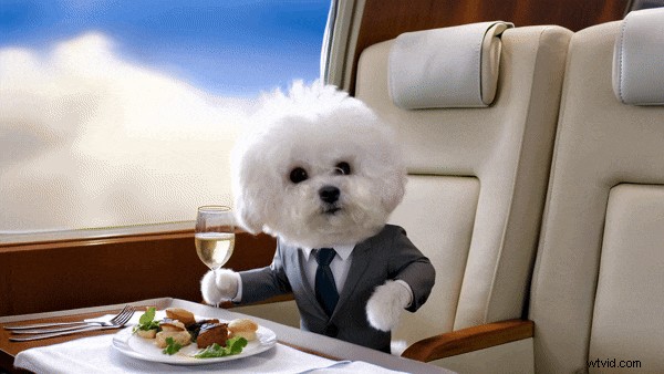 Pika AI Review: Effortless Video Creation with AI (2024)