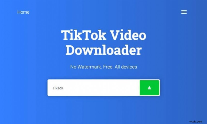 Top 8 Free TikTok Video Downloaders (No Watermark) - 2024