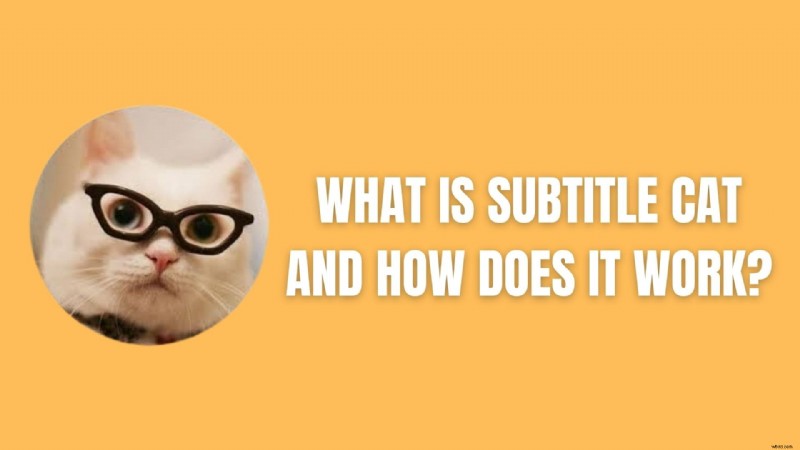 Subtitle Cat Review 2026: Features, Pricing & Alternatives