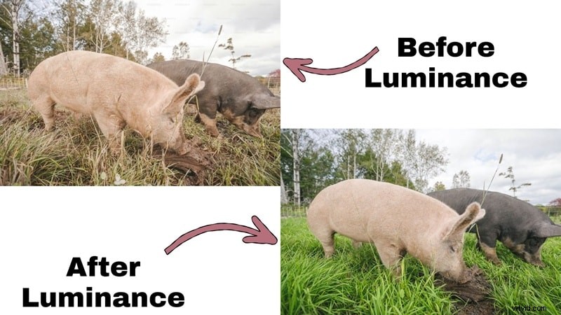 Lightroom HSL Panel: A Comprehensive Guide to Color Grading (2024)