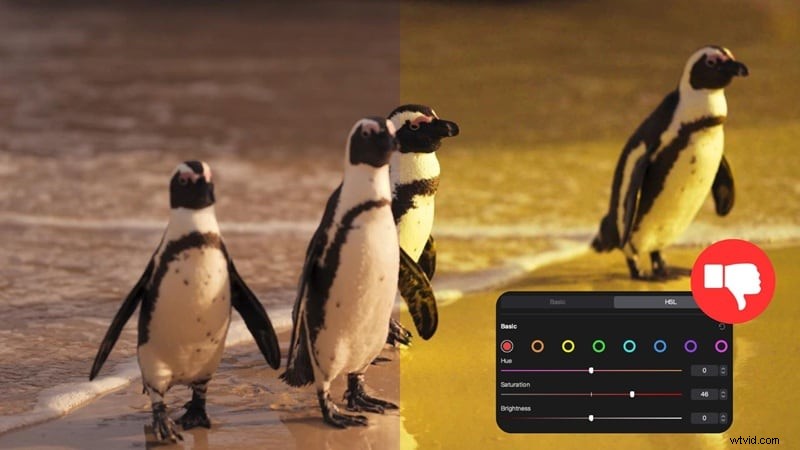 Master HSL Color Grading in CapCut: A Comprehensive Guide (2026)