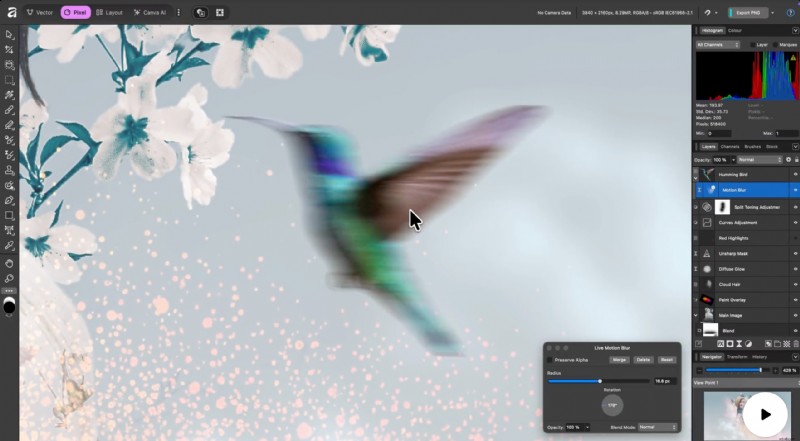 Top 10 Photo Background Blur Tools for Stunning Portraits (2024)