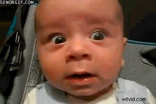 Best Video to GIF Converters: High-Quality Options for 2024