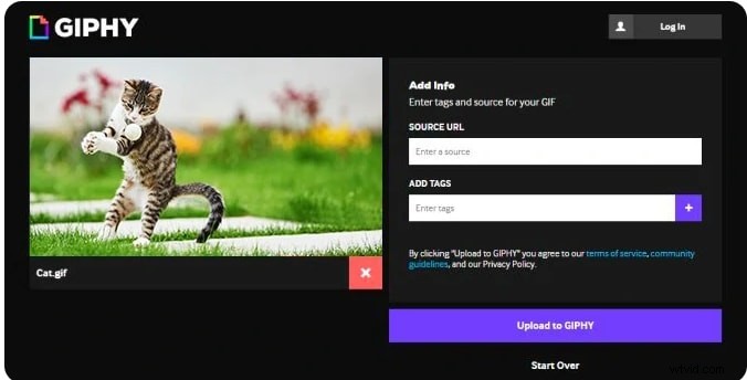 Best Video to GIF Converters: High-Quality Options for 2024