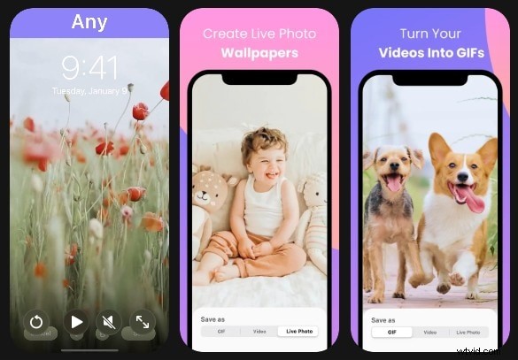 Best Video to GIF Converters: High-Quality Options for 2024