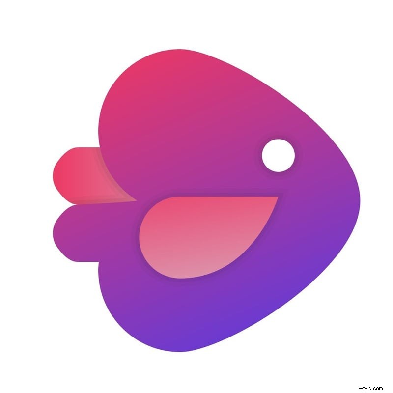 Top 11 AI Video Editors: Easy Video Editing for Beginners