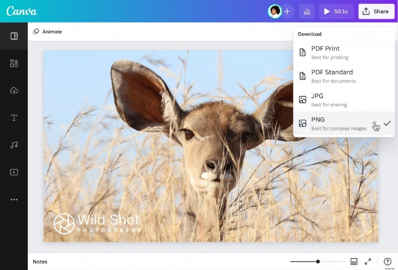 Best Photo Watermark Tools of 2026: Protect Your Images