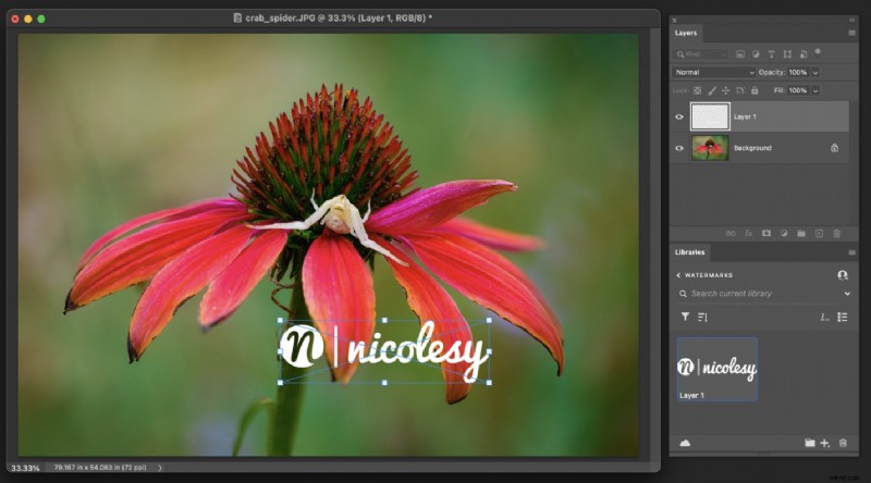Best Photo Watermark Tools of 2026: Protect Your Images