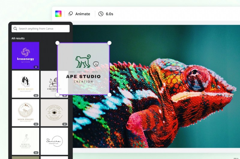 Top 12 Video Watermark Tools: Protect Your Content Online