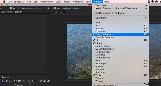 Mastering Lumetri Color in After Effects: A Comprehensive Guide