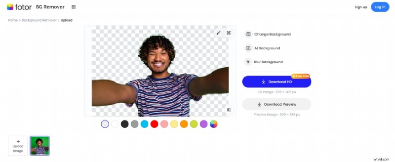 Top 10 Green Screen Photo Editors: AI-Powered Tools for 2026