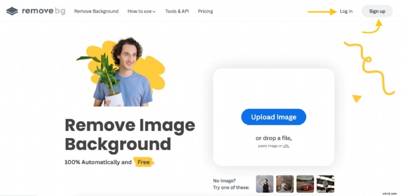 Top 10 Green Screen Photo Editors: AI-Powered Tools for 2026