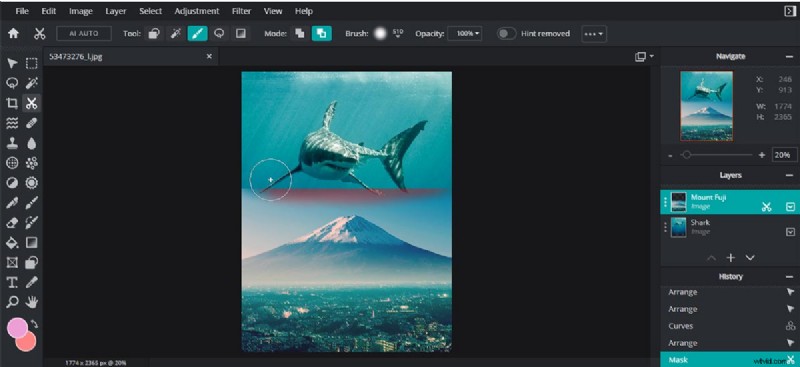 Top 10 Green Screen Photo Editors: AI-Powered Tools for 2026