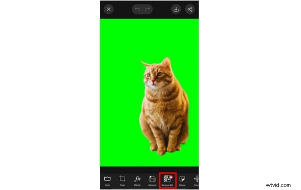 Top 10 Green Screen Photo Editors: AI-Powered Tools for 2026