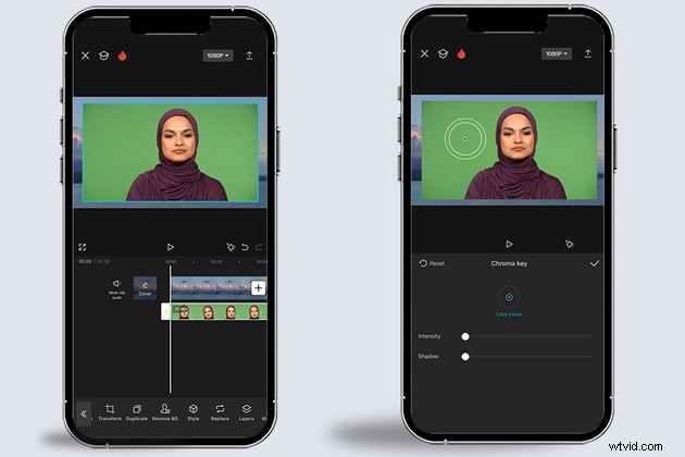 Top 10 Green Screen Photo Editors: AI-Powered Tools for 2026