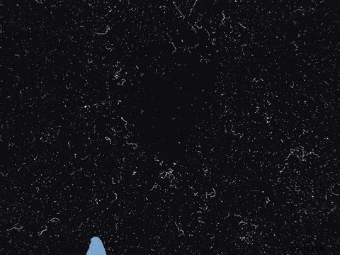 Best Animated Text Generators | AI Video Creation Tools