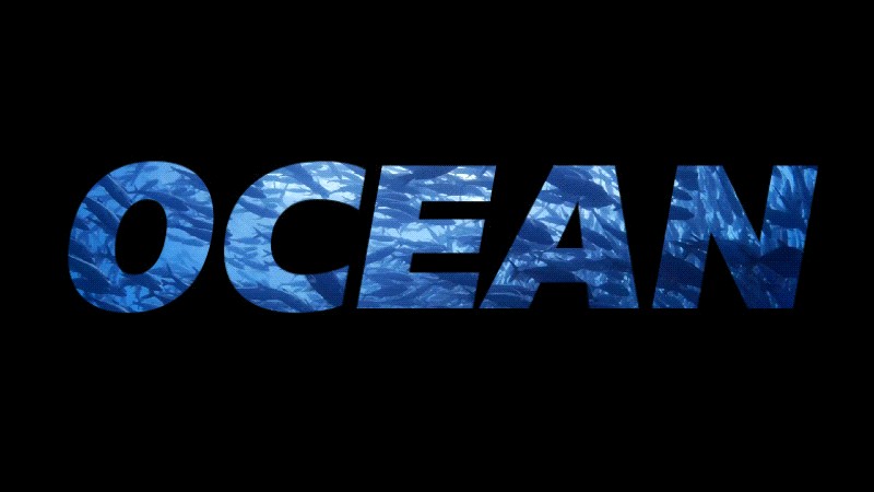 Mastering Zoom In/Out Effects in Video & Text: A Beginner s Guide