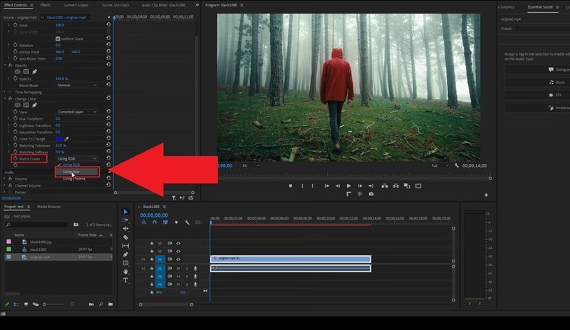 Premiere Pro Color Correction: Mastering Hue, Saturation & Color Grading