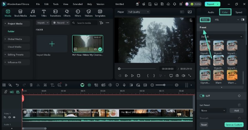 Master Premiere Pro Lumetri Color: A Guide to Cinematic Video Editing