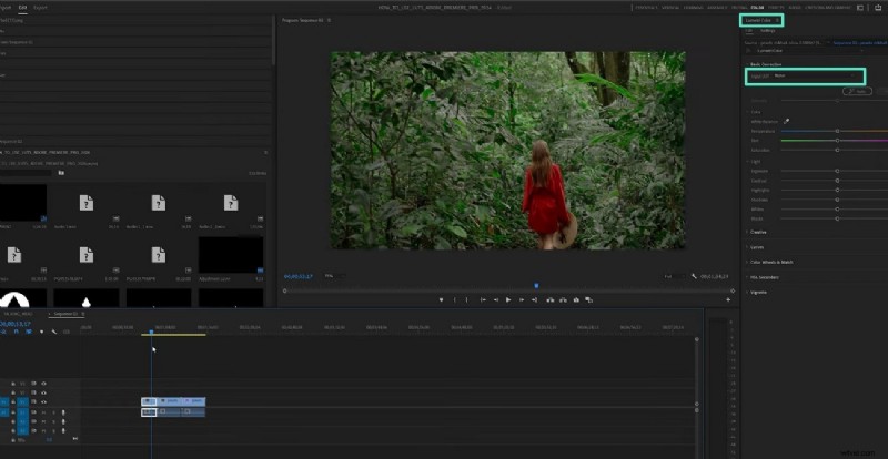 Mastering LUTs in Adobe Premiere Pro: A Comprehensive Guide