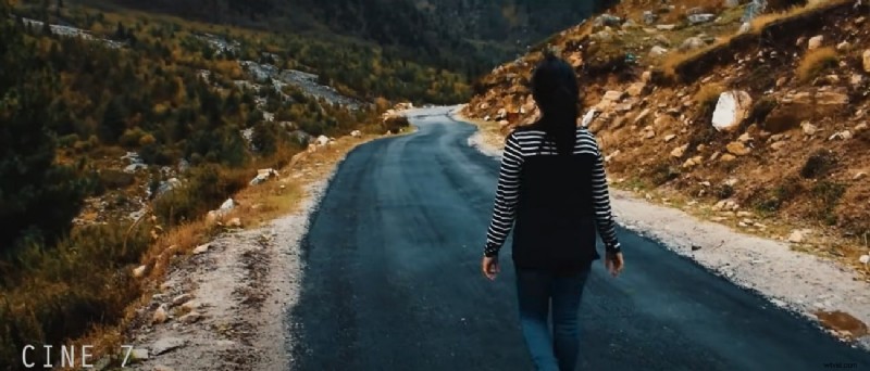 Mastering LUTs in Adobe Premiere Pro: A Comprehensive Guide