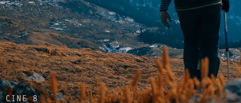 Mastering LUTs in Adobe Premiere Pro: A Comprehensive Guide