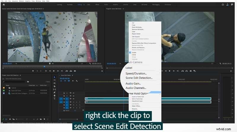 Filmora vs. Premiere Pro: Scene Edit Detection Comparison