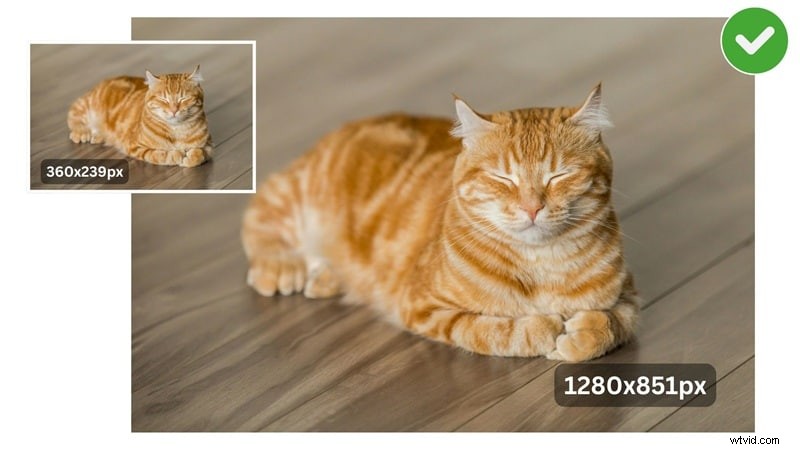 Upscale Images Without Loss of Quality: Top AI Tools (2024)