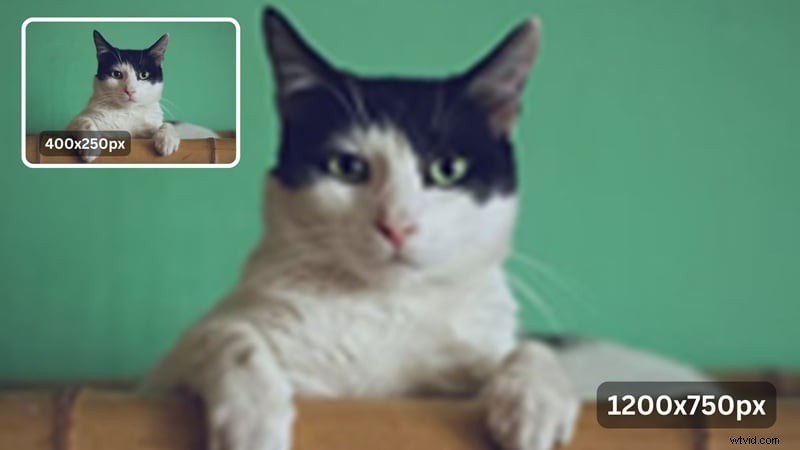 Upscale Images Without Loss of Quality: Top AI Tools (2024)