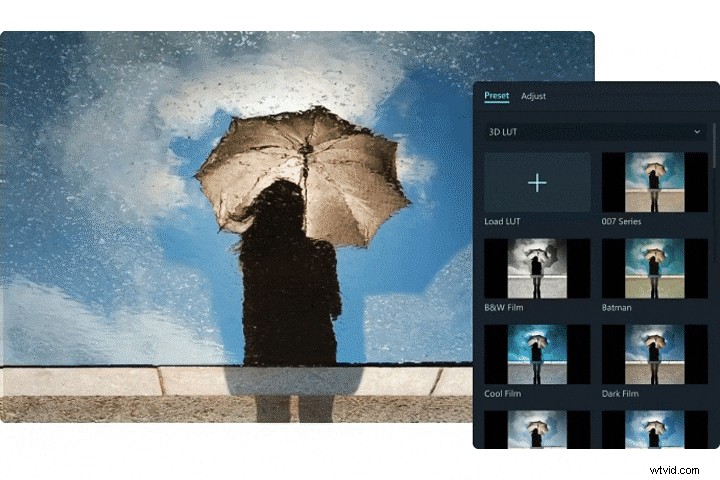 Premiere Rush Color Correction & LUT Alternatives: A Comprehensive Guide
