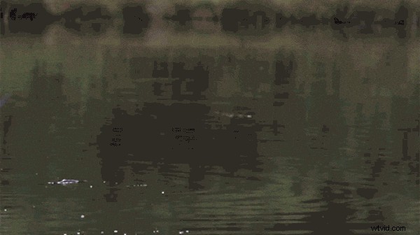 Premiere Pro Optical Flow: Achieve Smooth Slow Motion (2024 Guide)