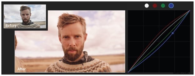 Premiere Pro Curves: A Comprehensive Guide to Color Correction & Grading