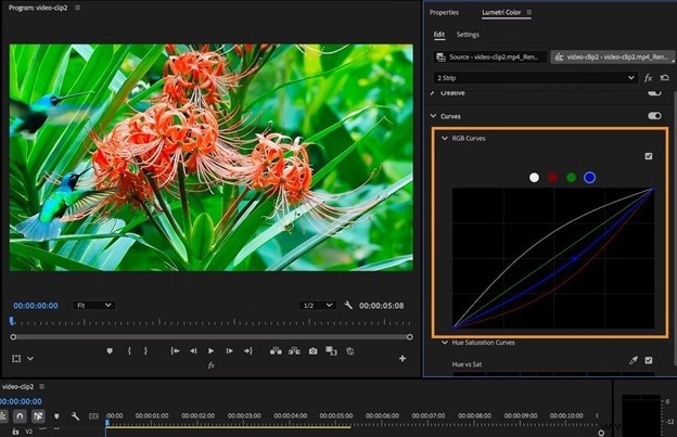 Premiere Pro Curves: A Comprehensive Guide to Color Correction & Grading